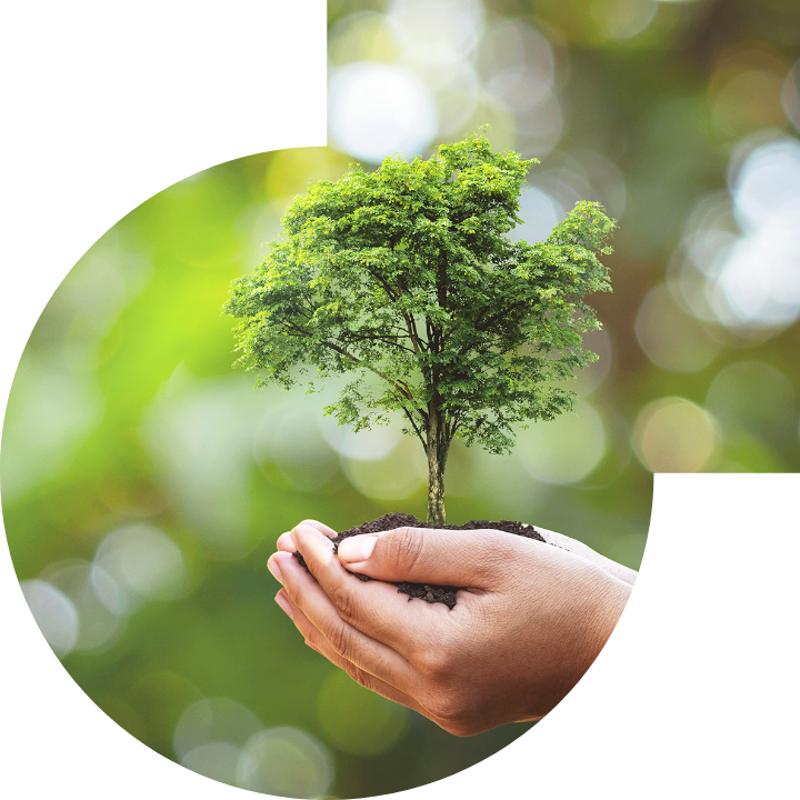 关怀人类、文化、环境与社会